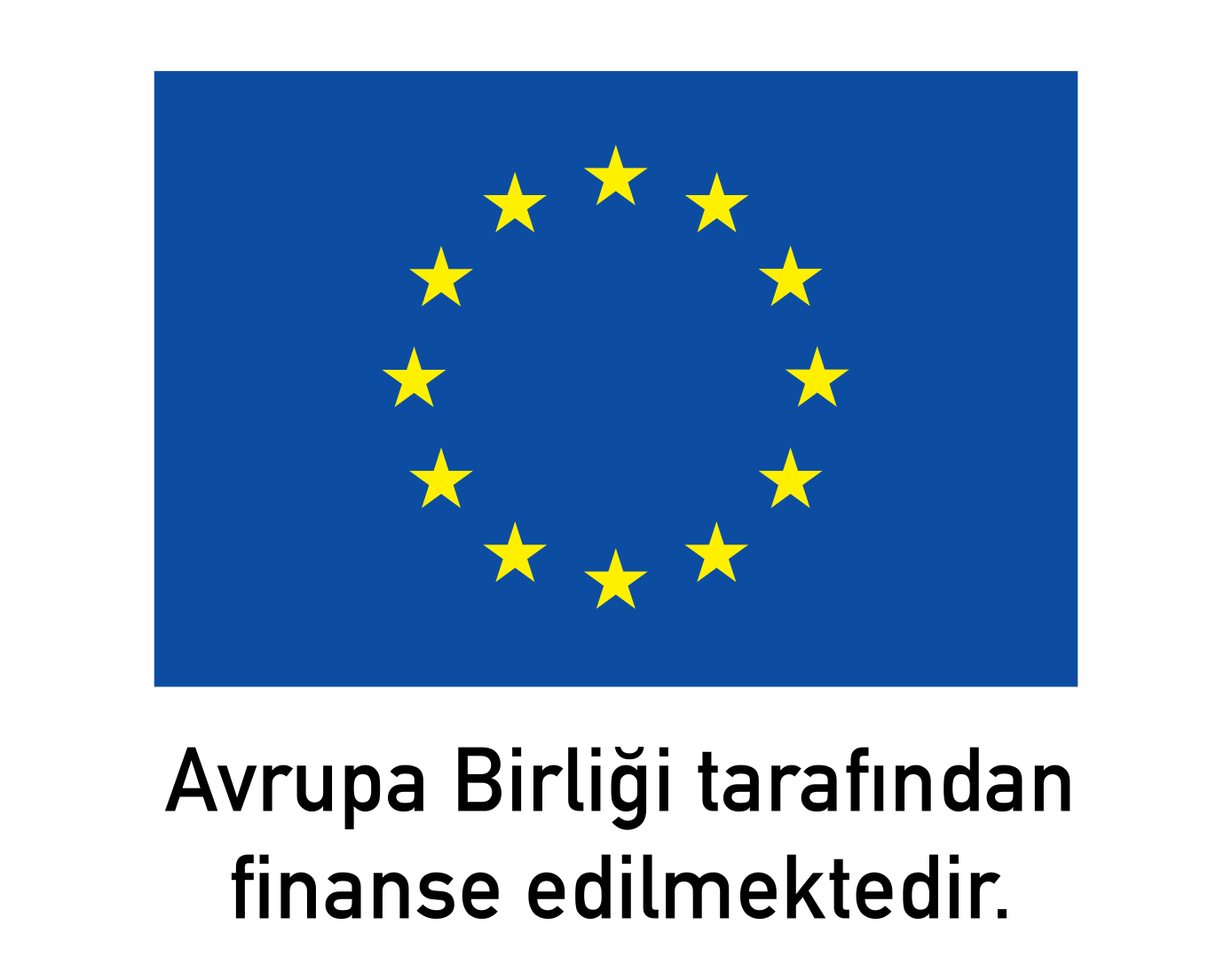 EU Logo